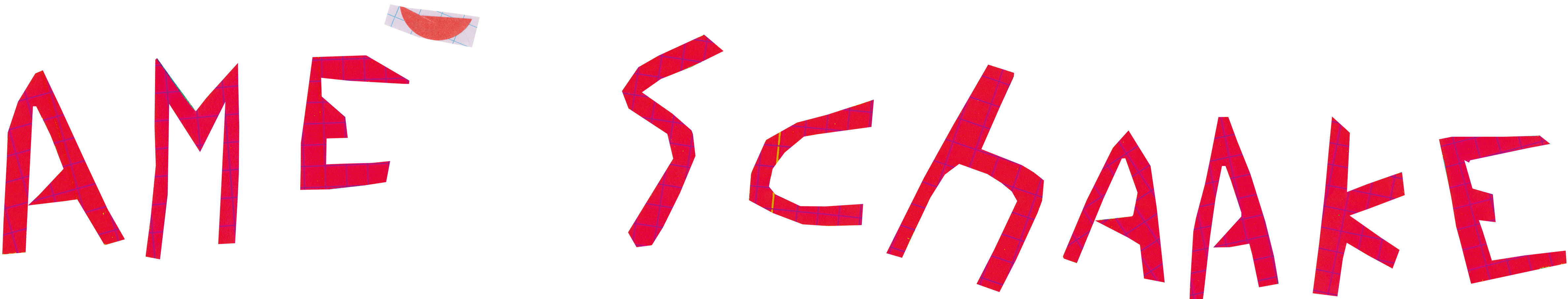 Logo Amé Schaake